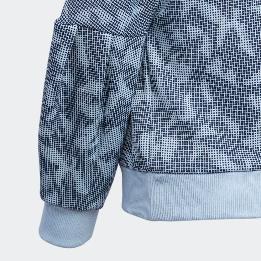 Adidas Crewneck Sweatshirt Glow Blue / Collegiate Navy EH4069