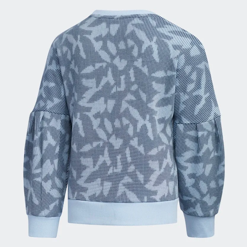 Adidas Crewneck Sweatshirt Glow Blue / Collegiate Navy EH4069