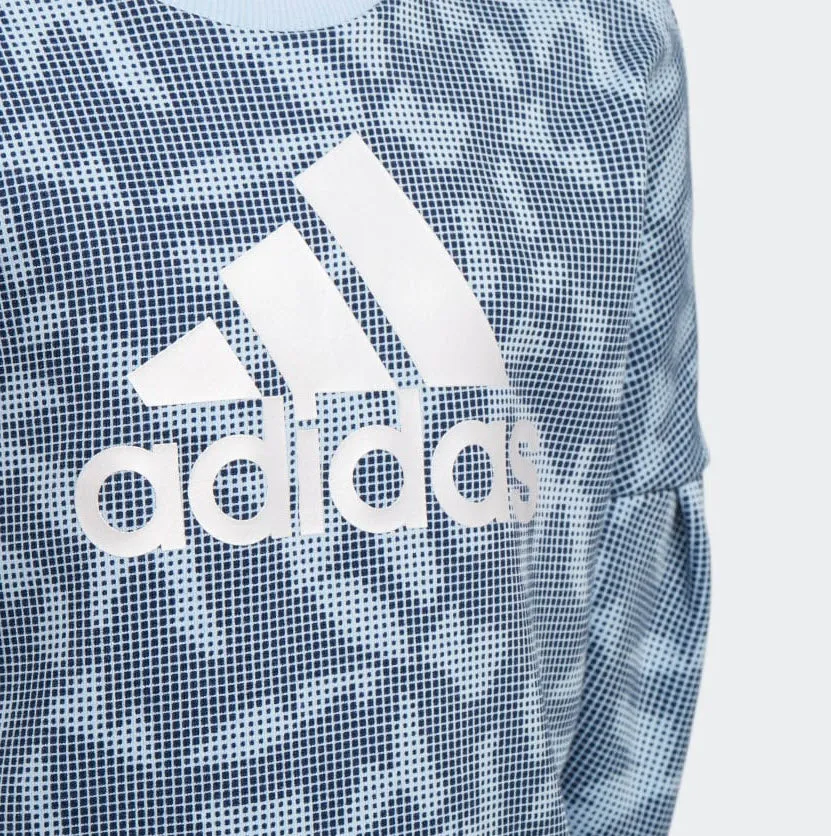 Adidas Crewneck Sweatshirt Glow Blue / Collegiate Navy EH4069