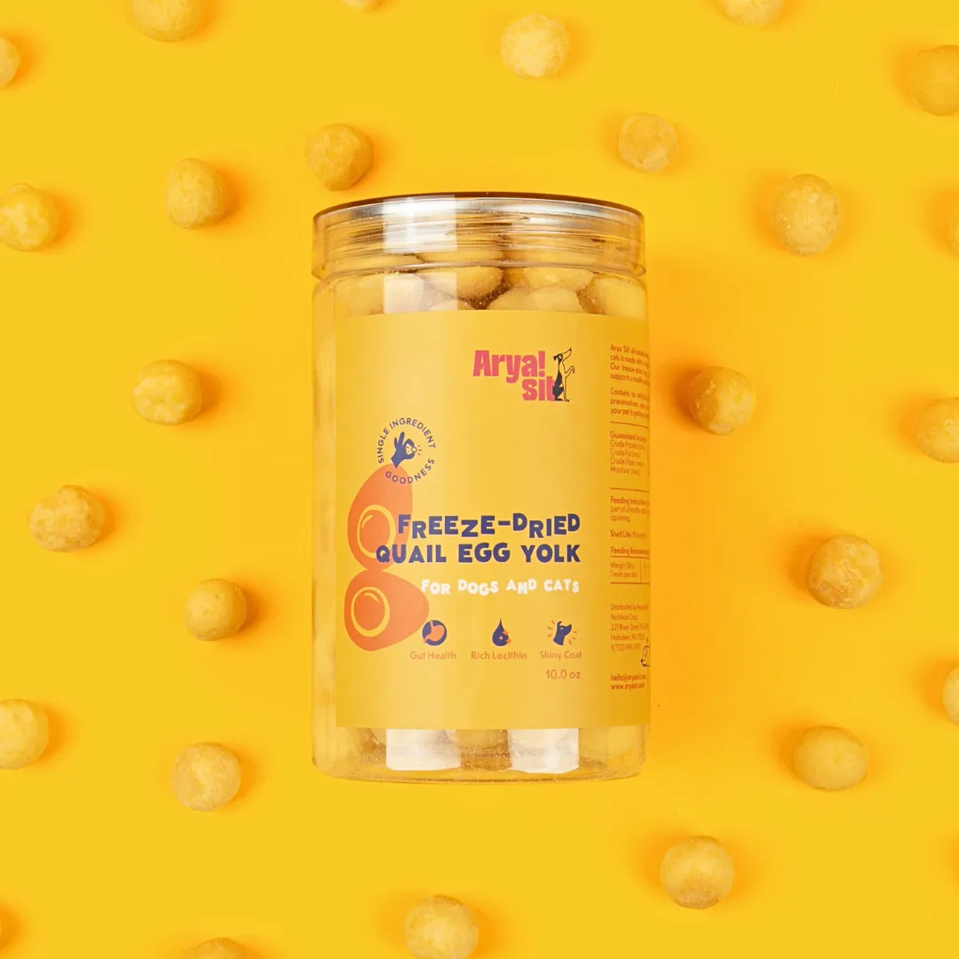 Arya Sit Freeze-Dried Egg Yolk Dog Treat