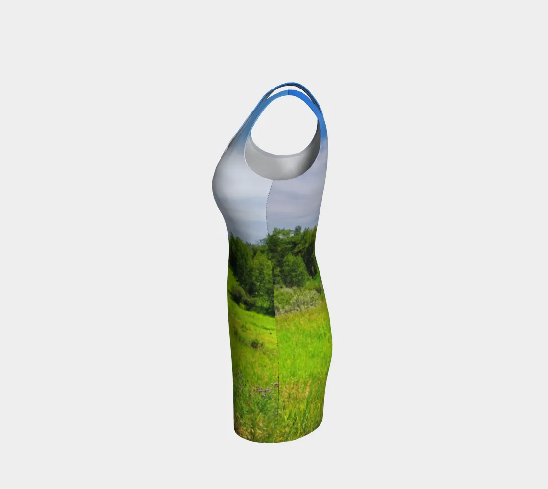 Bodycon Dress - Fish Creek Park Votier's Flats Meadow
