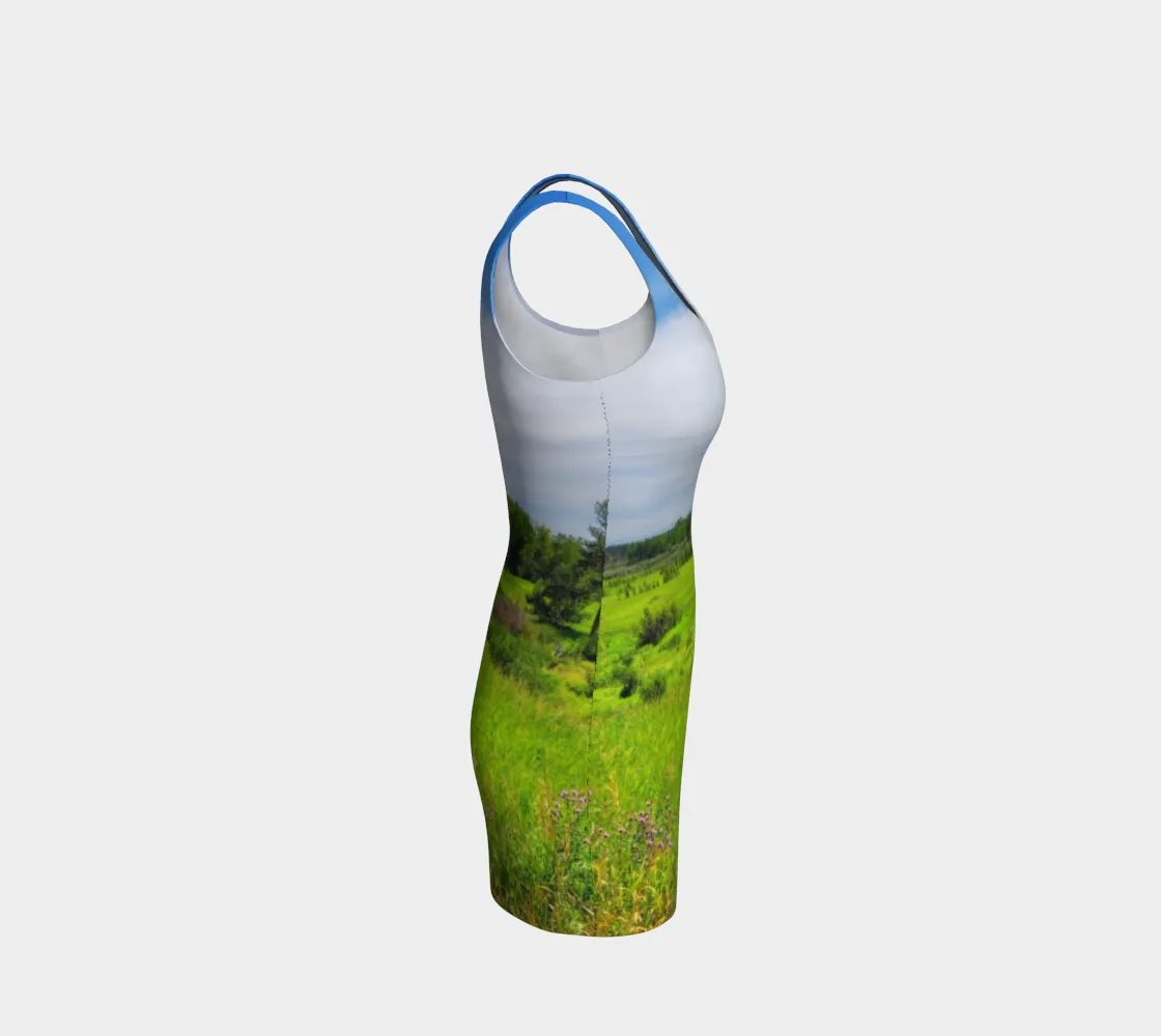 Bodycon Dress - Fish Creek Park Votier's Flats Meadow