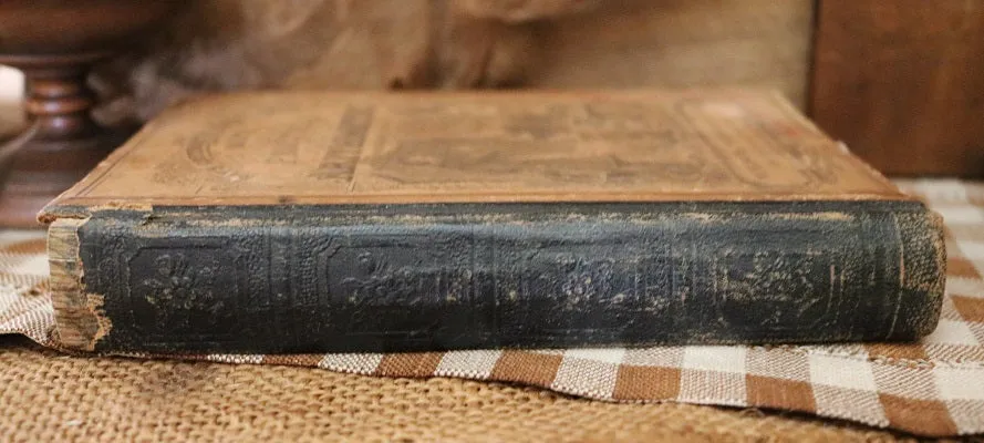 Bonnet Stand Putz Sheep Book Gathering
