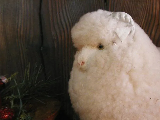 German Wooly Ram Folk Art Very Unique