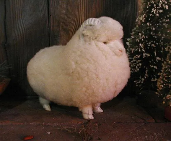 German Wooly Ram Folk Art Very Unique