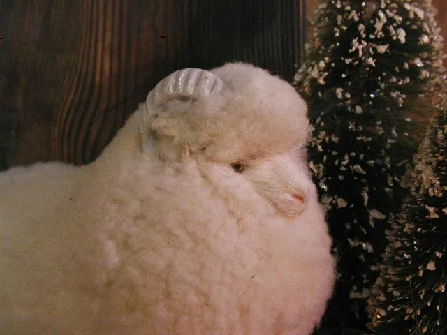 German Wooly Ram Folk Art Very Unique