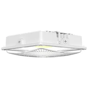 Morris Products 71610C Color & Wattage Selectable Canopy Light 45W-75W White