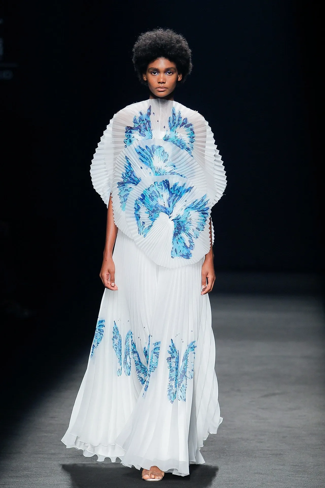 Printed Pleated A-line Dress with Ruffles