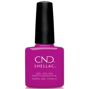 Shellac Rooftop Hop